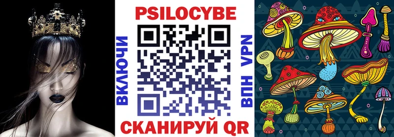 где можно купить   Ивантеевка  Псилоцибиновые грибы MAGIC MUSHROOMS 